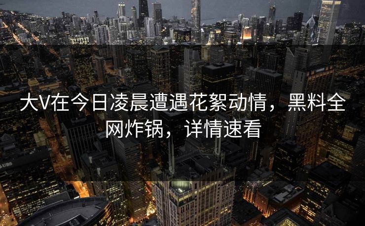 大V在今日凌晨遭遇花絮动情，黑料全网炸锅，详情速看