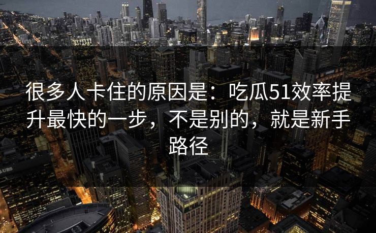 很多人卡住的原因是：吃瓜51效率提升最快的一步，不是别的，就是新手路径